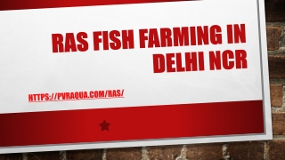 RAS Fish Farming