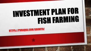 Investment Plan for Fish Farming