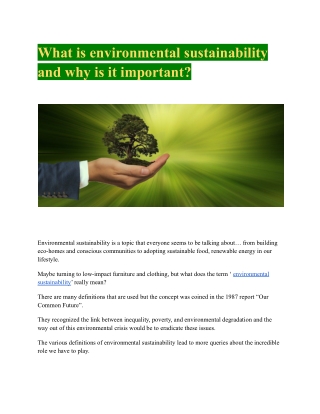 What is environmental sustainability and why is it important?