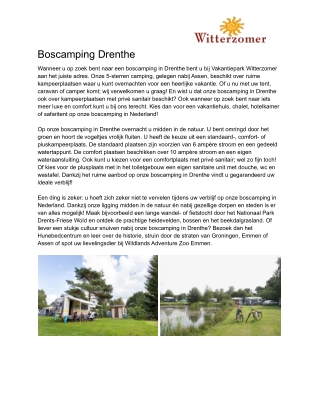 Boscamping Drenthe