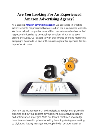 Are You Looking For An Experienced Amazon Advertising Agency