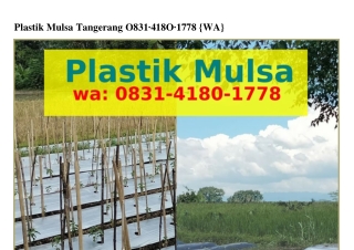 Plastik Mulsa Tangerang ౦831–ㄐ18౦–1778[WhatsApp]Plastik Mulsa Tangerang