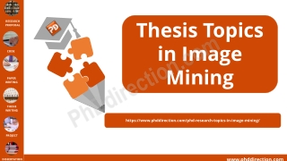 Thesis Topics in Image Mining
