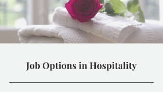 Job Options in Hospitality