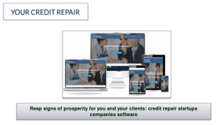 Reap signs of prosperity for you and your clients with credit repair startups companies software