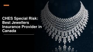 CHES Special Risk: Best Jewellers Insurance Provider in Canada