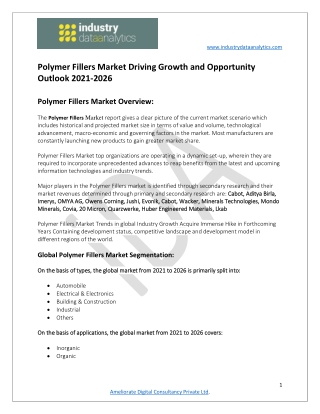Polymer Fillers Market  Development Opportunities and Forecast to 2026