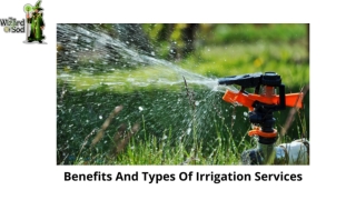 Benefits And Types Of Irrigation Services