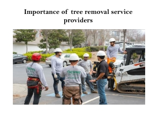 Importance of tree removal service providers