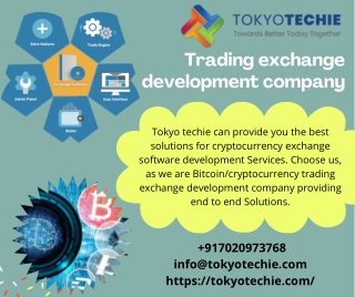 Trading exchange development company