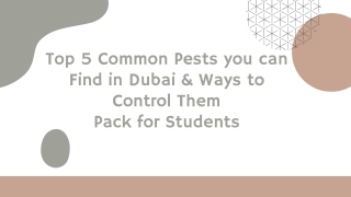 Top 5 Common Pests you can Find in Dubai & Ways to Control Them Pack for Students