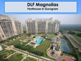 DLF The Magnolias Golf Course Road Gurugram | 5 BHK Luxury Apartments in DLF The