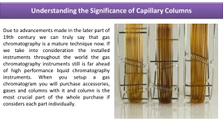 Understanding the Significance of Capillary Columns