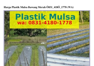 Harga Plastik Mulsa Bawang Merah O83I-ᏎI8O-I778(WA)