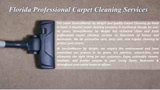 Best Carpet Cleaning Services in Cape Coral