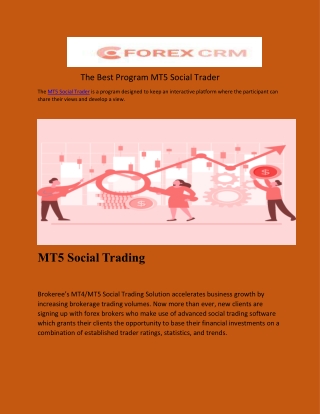 The Best Program MT5 Social Trader