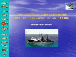 ENVIRONMENTAL VARIABILITY IN THE SOUTH EASTERN PACIFIC OCEAN OFF CHILE