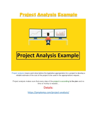 Project Analysis Example