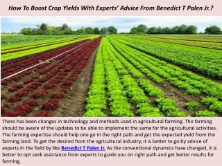 How To Boost Crop Yields With Experts’ Advice From Benedict T Palen Jr.