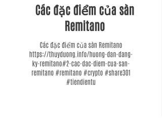 Các đặc điểm của sàn Remitano