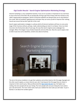 Gigi Catalin Neculai - Search Engine Optimization Marketing Strategy