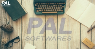 PAL SOFTWARE-WEB DESIGN AND DIGITAL MARKETING AGENCY IN LONG ISLAND, NEW YORK