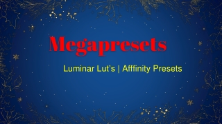 LUMINAR - ADVANCED MEGA BUNDLE - 2000  | Luminar Presets