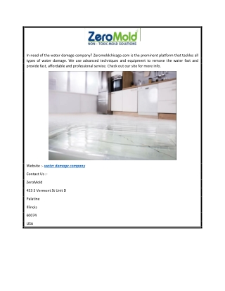 Water Damage Company  Zeromoldchicago.com