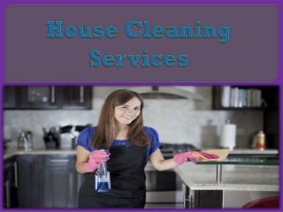 House Cleaning Services