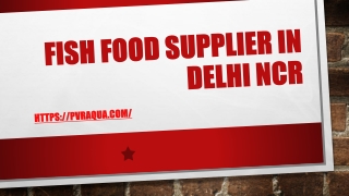 FISH FOOD SUPPLIER IN DELHI NCR