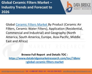 Global Ceramic Filters Market
