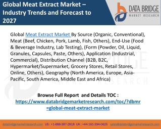 Global Meat Extract Market