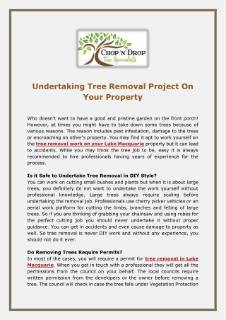 Undertaking Tree Removal Project On Your Property