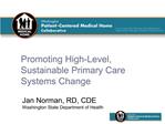Promoting High-Level, Sustainable Primary Care Systems Change