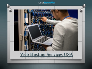 Web Hosting Services USA