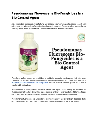 Pseudomonas Fluorescens Bio-Fungicides is a Bio Control Agent
