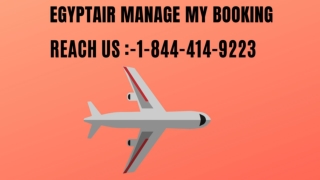 Egyptair Manage Booking |1-844-414-9223| Manage Booking Process