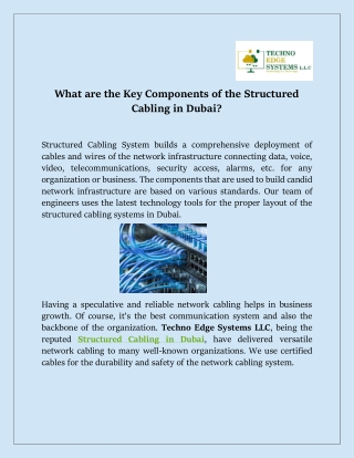 What are the Key Components of the Structured Cabling in Dubai?