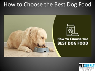 How to choose best dog food | Pet Food | VetSupply