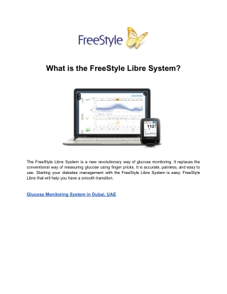 What is the FreeStyle Libre System