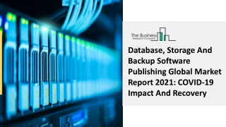 Database, Storage And Backup Software Publishing Market Scope 2030