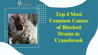 Top 4 Most Common Causes of Blocked Drains in Cranebrook