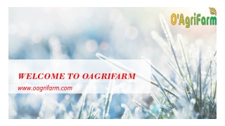 Get Agricultural Loan| Oagri Farm