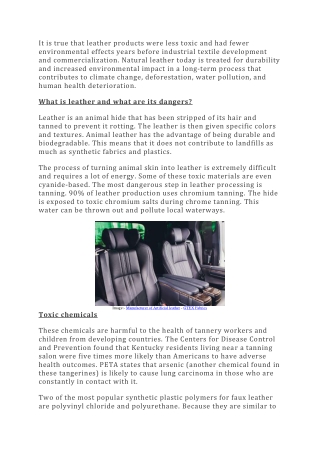 Debunking the Vegan Leather Myth