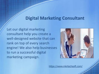 Digital Marketing Consultant