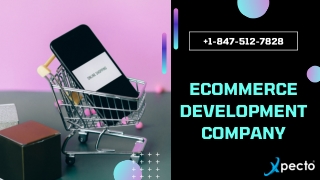 eCommerce Development Company in USA (1)