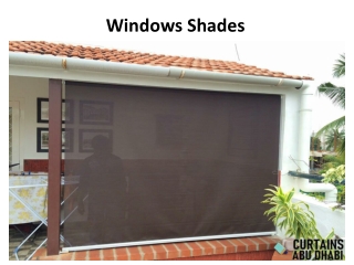 Windows Shades