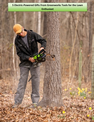 5 Electric-Powered Gifts From Greenworks Tools for the Lawn Enthusiast