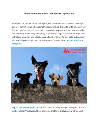These Symptoms in Pets that Require Urgent Care