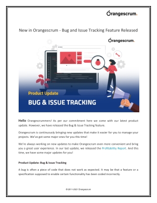New in Orangescrum - Bug and Issue Tracking Feature Released